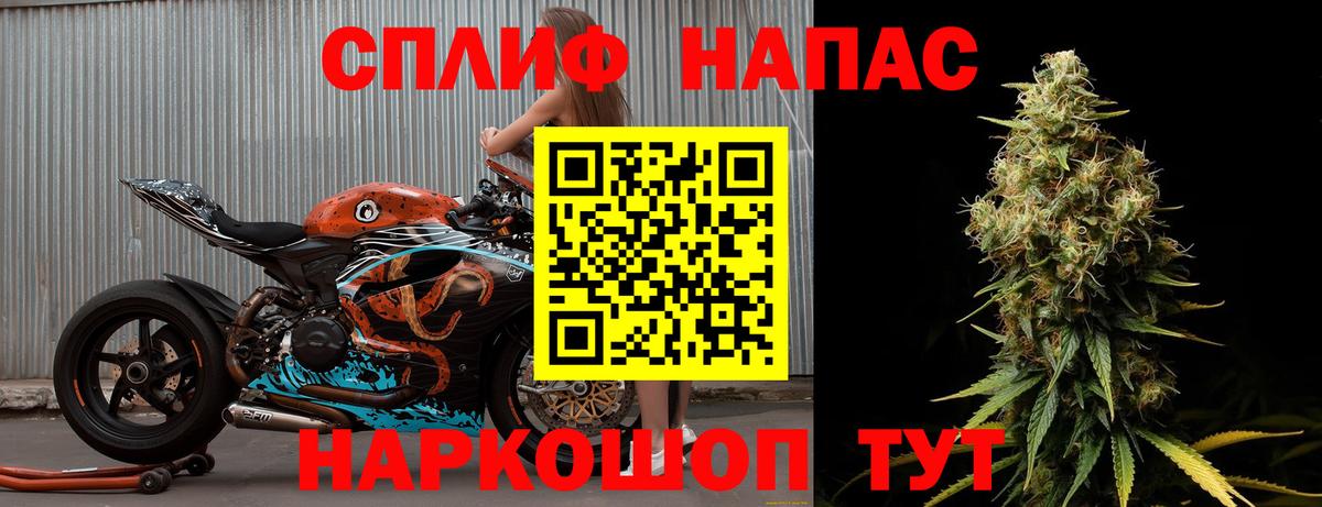 Бошки Шишки конопля Дивногорск